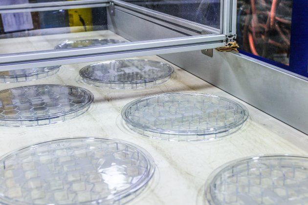 Lomont-Molding_Iowa_Expertise_Manufacturing-Services_main Lomont-Molding_Iowa_Expertise_Manufacturing-Services_main